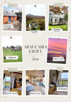 Araucaria Croft Skye